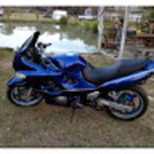 Meet your Posher, Billy